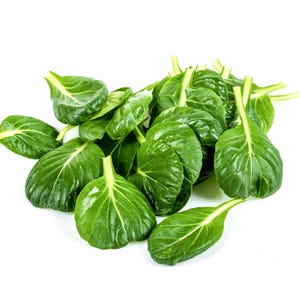 a pile of green leaves on a white background