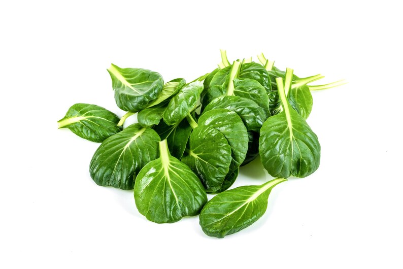 a pile of green leaves on a white background
