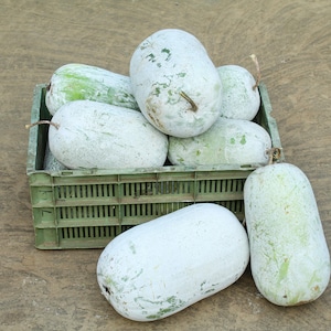 a crate of watermelons sitting on the ground