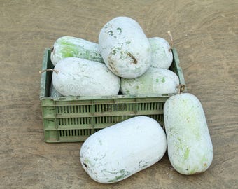 Wax Gourd Seeds, Winter Melon Seeds, Benincasa Hispida, Shipped with Tracking