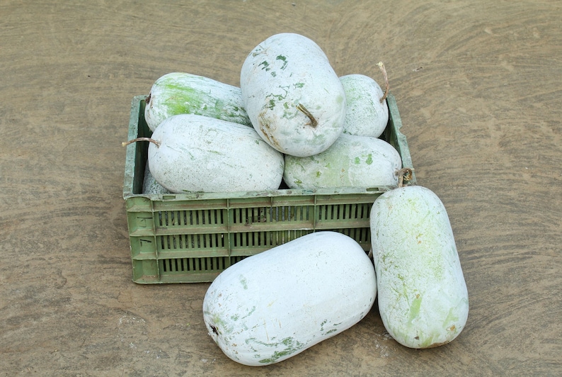 a crate of watermelons sitting on the ground