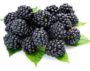Organic Blackberry Seeds Non-GMO, Sweet Berry Seeds, With Tracking, Gardening Seeds, Homegrown Seeds