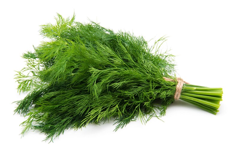 a bunch of green grass sitting on top of a white surface