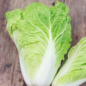 May include: Two heads of fresh green Napa cabbage with white veins on a wooden surface.