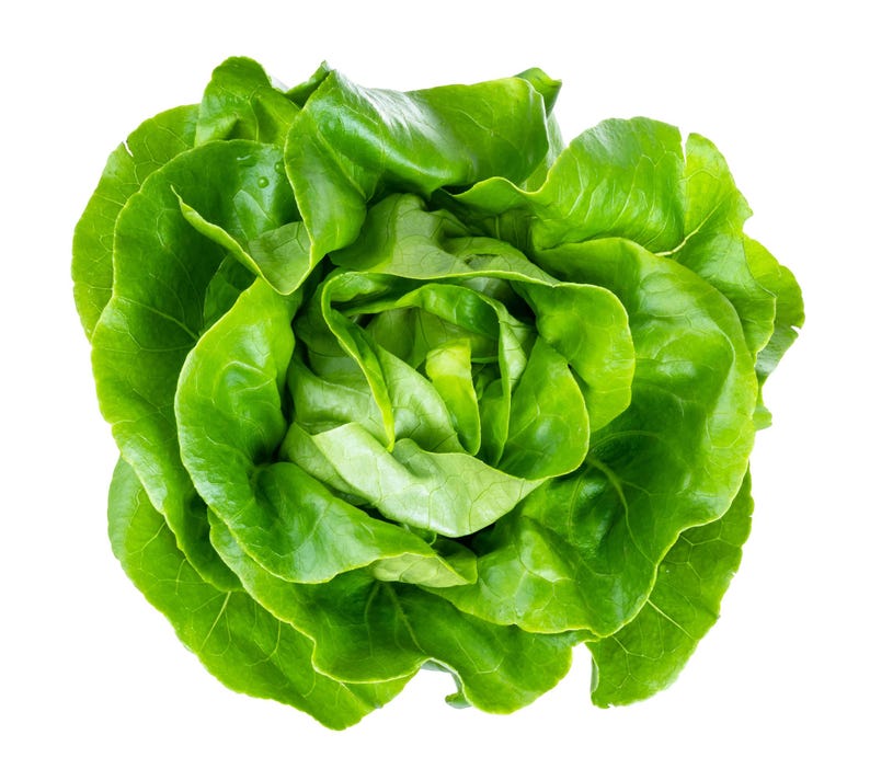 a head of lettuce on a white background