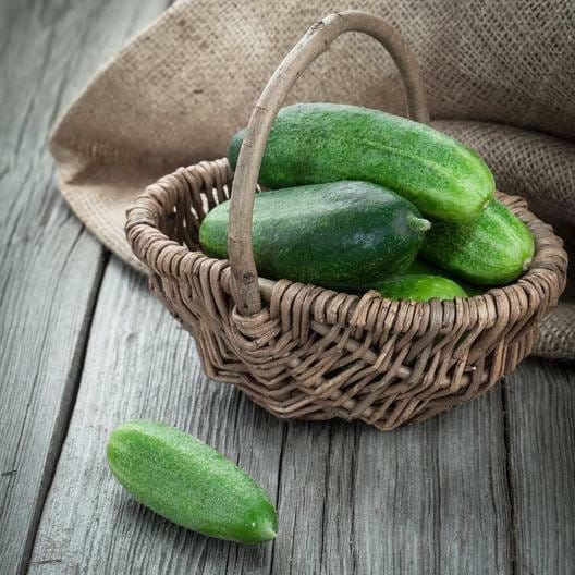 Spacemaster Cucumber 80 Seeds Non-GMO, Tracking Included, Heirloom Seeds