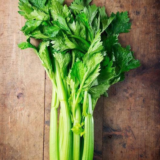 Tall Utah Celery Seeds Non-GMO, Heirloom Variety, Seeds with Tracking, Non-GMO - Picture 3 of 5