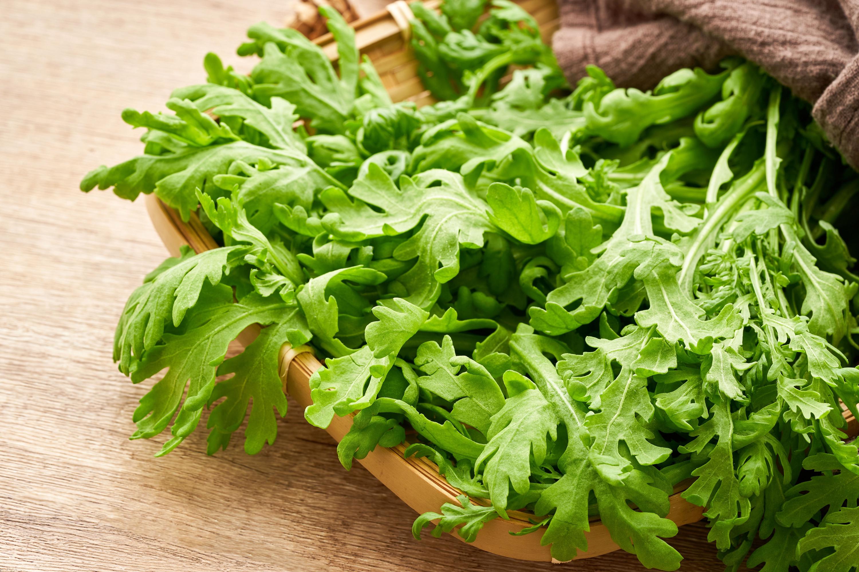 Shungiku Seeds - Edible Chrysanthemum for Your Garden