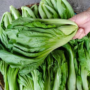 a basket filled with lots of green leafy vegetables