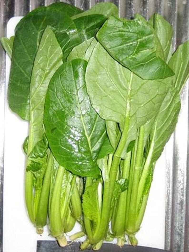 2000 Komatsuna Seeds, Japanese Green, Spinach Mustard, Non-Gmo, Free Shipping image 1