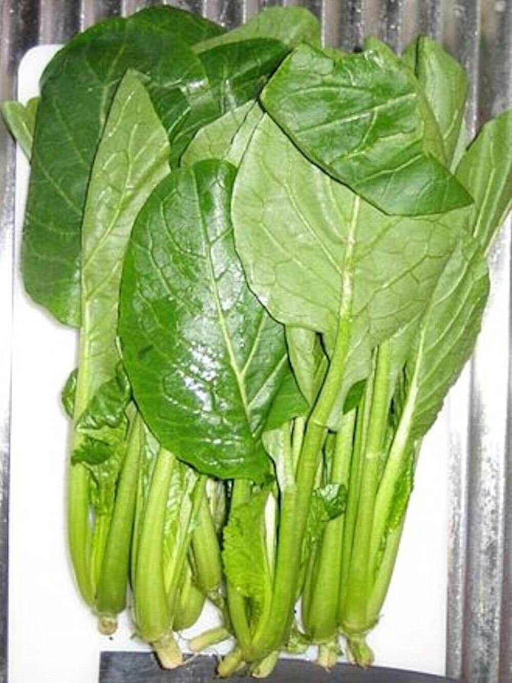 Komatsuna Seeds Japanese Green Spinach Mustard Non-GMO, Shipping with Tracking