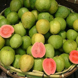 May include: A basket filled with green guavas, some of which are cut open to reveal their pink flesh.