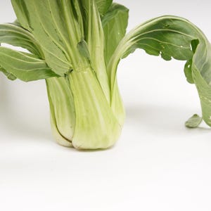 a close up of a leafy plant on a white surface