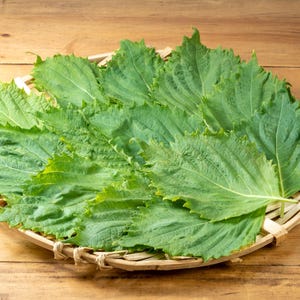 Green Shiso Seeds with Tracking, Japanese Perilla Seeds, Herb Seeds, Gardening Supply, Kitchen Garden Seeds
