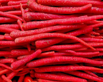200 Kyoto Red Carrot Seeds – Rare Japanese Heirloom | Sweet Red Carrots for Home Gardens