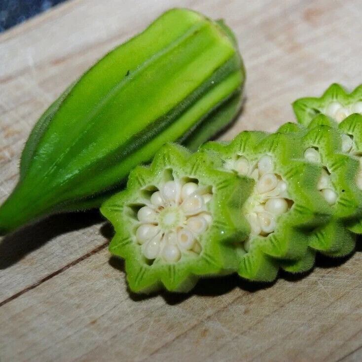 Star Of David Okra Seeds Non-Gmo Heirloom, Tracking Included, Gardening Gift