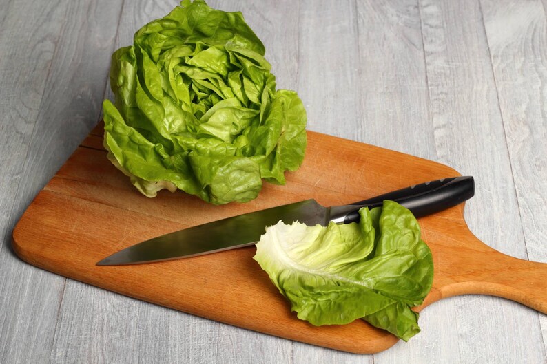 lettuce on a cutting board with a knife