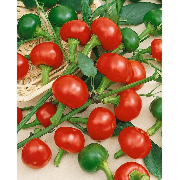 Large Red Cherry Hot Pepper Seeds, Heirloom, Non-GMO, Shipped with Tracking