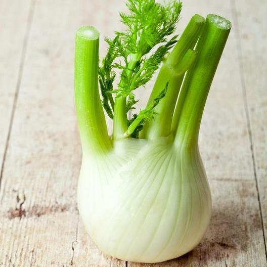 Florence Fennel Seeds Herb Packet, Non-Gmo, Shippable with Tracking, Home Garden