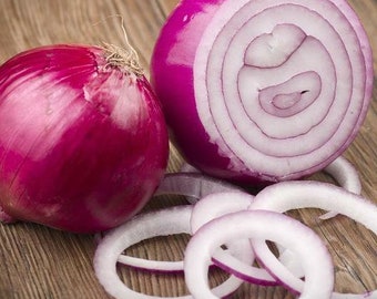 750 Red Creole Onion Seeds Non-GMO Heirloom
