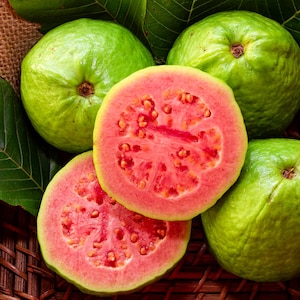 Pink Guava Seeds Psidium guajava Non-GMO, Tracking Included, Gardening Gift, Guava Fruit Seeds,Home Gardening Essential