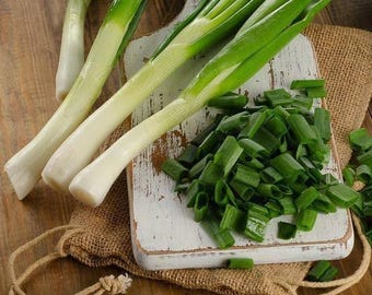 May include: A white cutting board with green spring onions, some whole and some chopped. The board is sitting on a brown burlap surface.