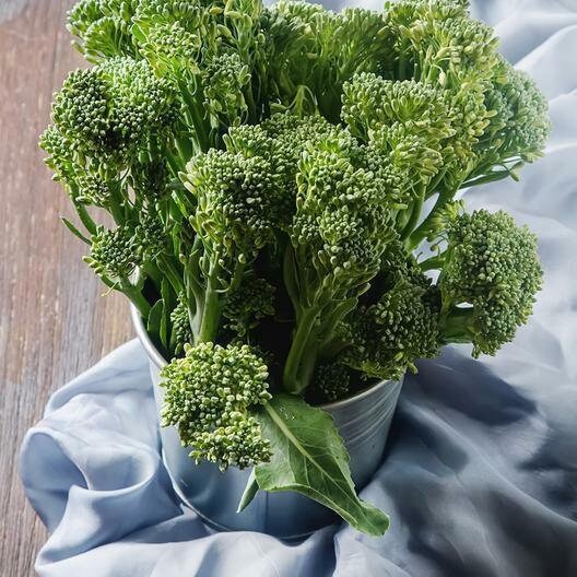 Purely Organic Broccoli Seeds (Waltham 29) - Approx 750