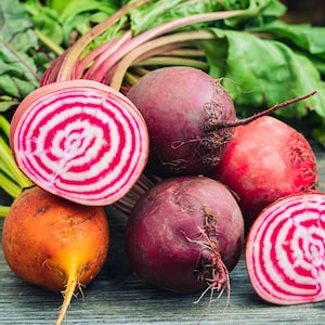 Chioggia Beet Seeds Non-GMO Heirloom, Tracked Shipping, Garden Seeds, Organic Seeds, Gardening Gift