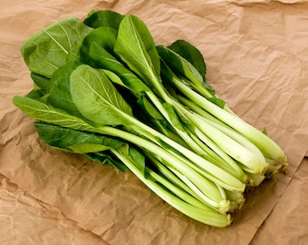 Komatsuna Seeds Japanese Green Spinach Mustard Non-GMO, Shipping with Tracking