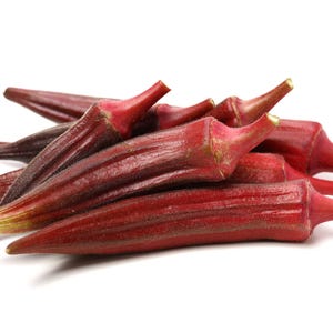 Heirloom Red Burgundy Okra Seeds, Non-GMO Planting, Tracking Included, Urban Gardening