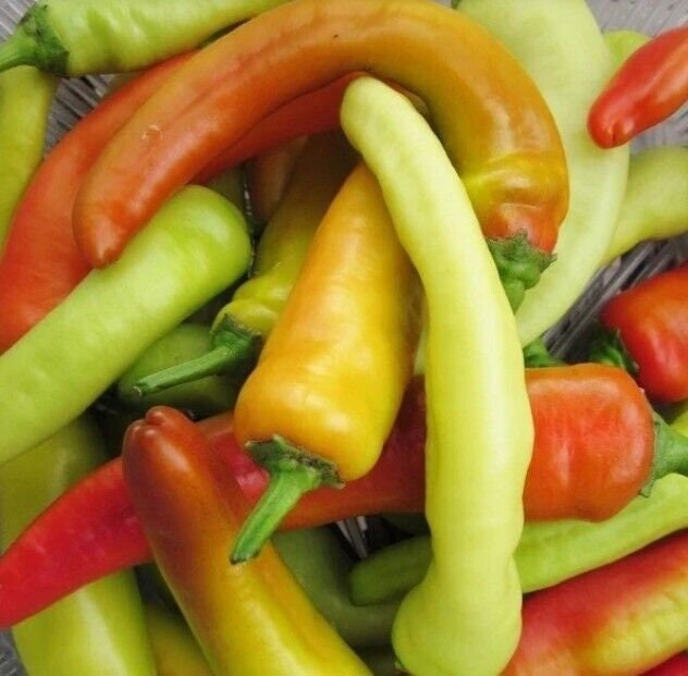 Hungarian Wax Hot Pepper Seeds, Non-GMO, Hot Banana Pepper, Tracking Included
