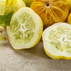 Lemon Cucumber Seeds Heirloom Non-GMO, Shipped with Tracking, Garden Seeds, Vegetable Seeds