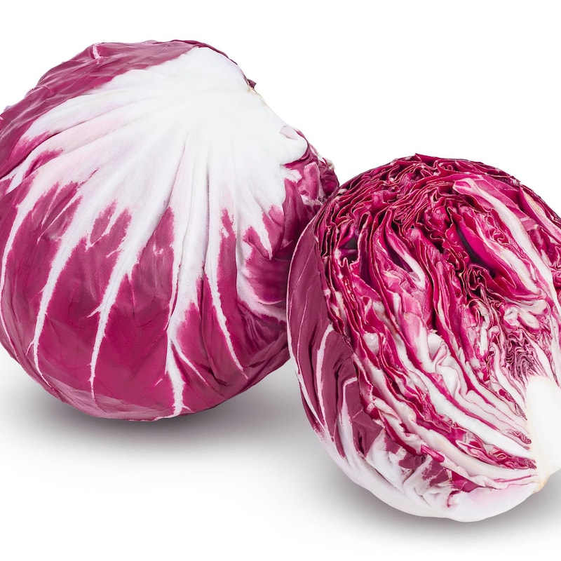 Raddichio Rosa Radicchio - Etsy