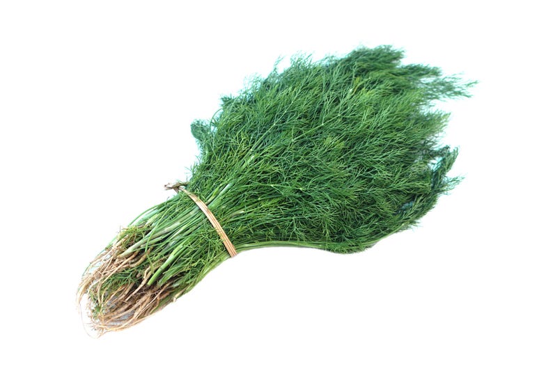 a bunch of green grass on a white background