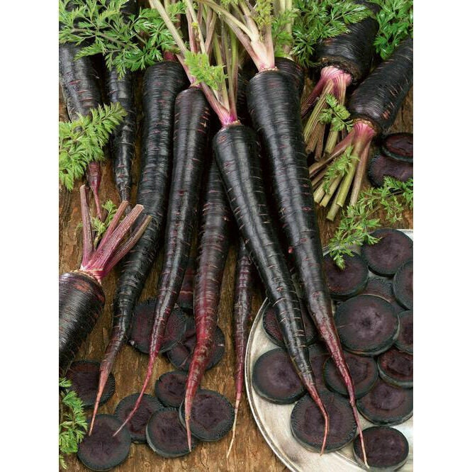 Black Nebula Carrot Seeds Non-GMO Heirloom, Tracking Included, Unique Vegetable