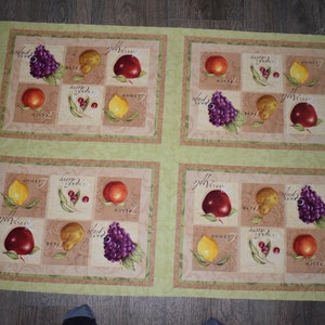Wilmington Fabrics Picked Fresh Collection  panel 30 inches wide