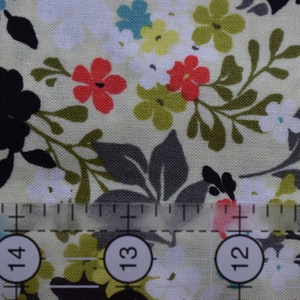 EBI Fabrics Costa De Las Flores Collection 2 yard cut box B