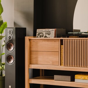 JAMM Record player stand, vinyl record storage made of solid oak wood Limited-Time Offer: Free & Fast Shipping image 4