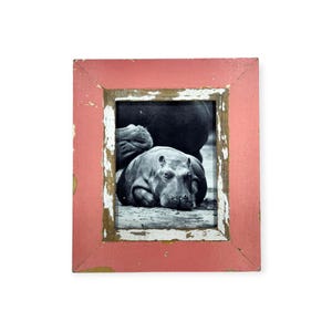 May include: A framed black and white photograph of two hippos. The frame is a distressed, rectangular shape with a faded, coral-colored paint finish. The frame has a white and gold trim.