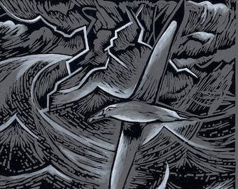 Tormenta codificada - Paquete de 3 tarjetas de felicitación - Tormenta codificada