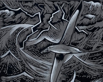 Tormenta Codificada - Paquete de 6 Tarjetas de Felicitación - Tormenta Codificada