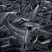 CodedStorm