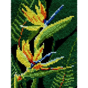 DIY Latch Hook Rug Kits, Rug Making, Color Printed Tapestry, Crochet Carpet Rug Yarn Embroidery for Festival