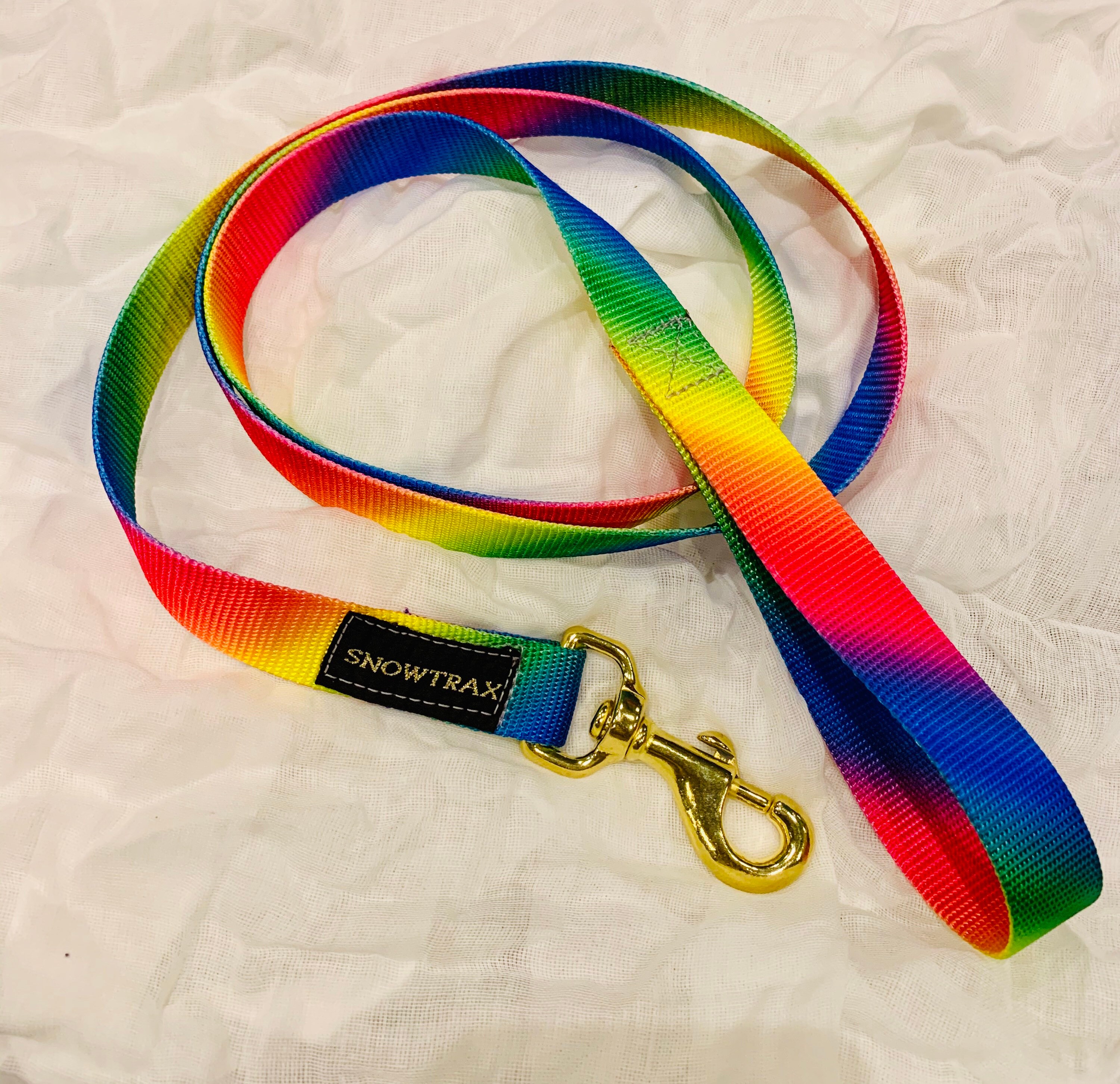 Rainbow Dog Lead and Collar Etsy