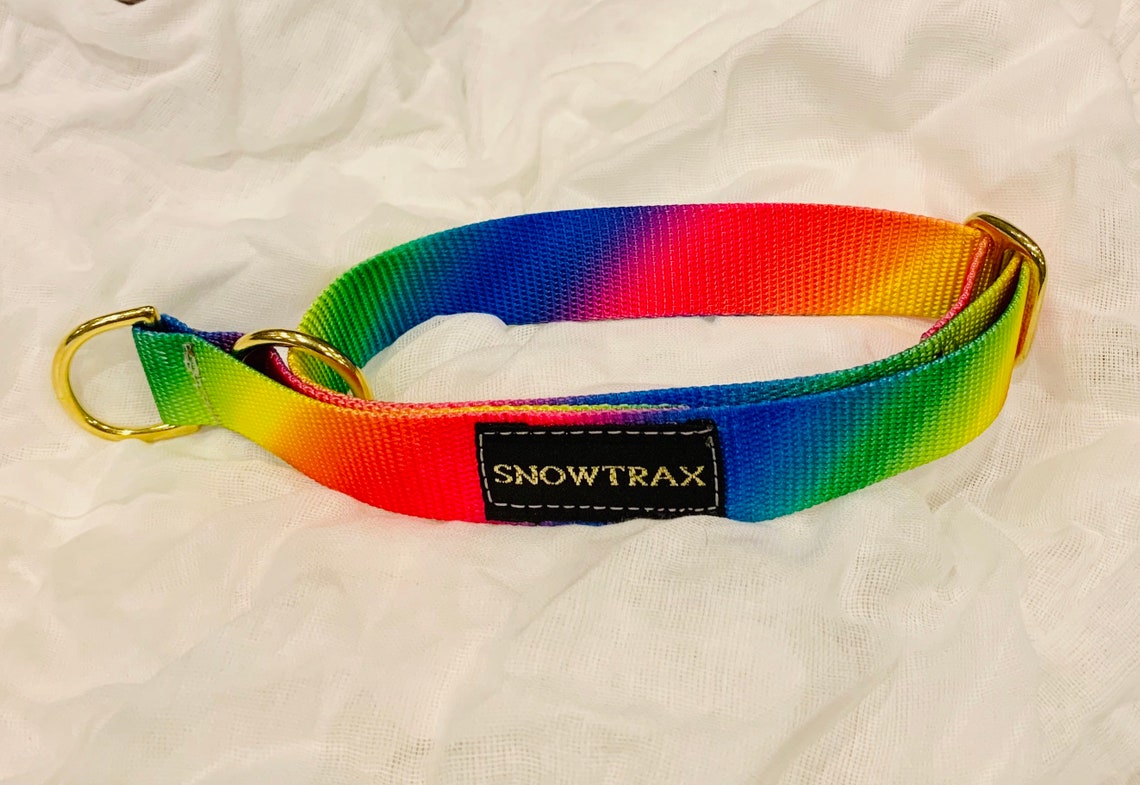Rainbow Dog Lead and Collar Etsy
