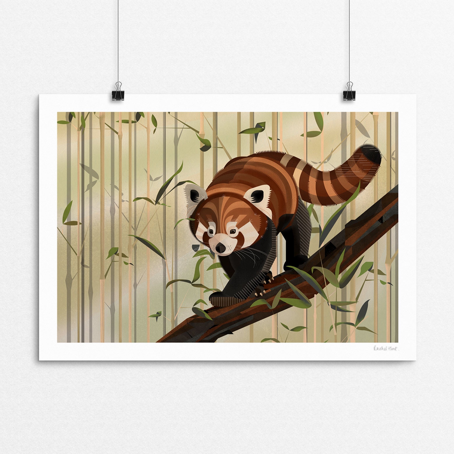 Red Panda Limited Edition Print Etsy