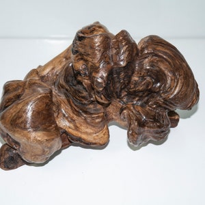 Peut inclure: Une grande pièce de bois flotté brun foncé avec un motif de grain unique et tourbillonnant. Le bois a une finition naturelle et patinée.