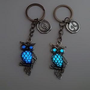 Owl Key chain gifts, glow in the dark owl gift for her, valentines day gift