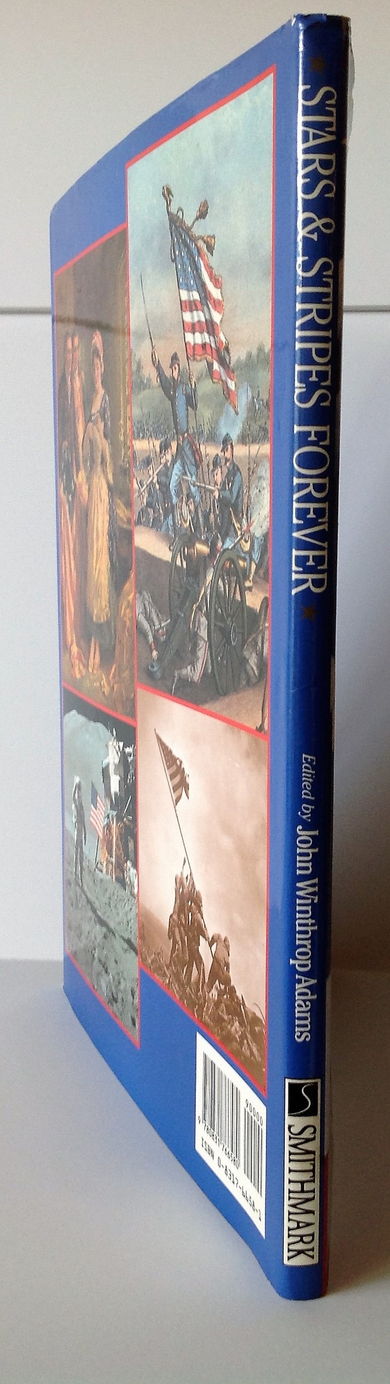 Stars & Stripes Forever: The History of Our Flag by John | Etsy