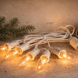 May include: A string of warm white Christmas lights with clear bulbs and white wiring. The lights are plugged into a standard US electrical outlet. A pine cone and evergreen sprigs are in the background.